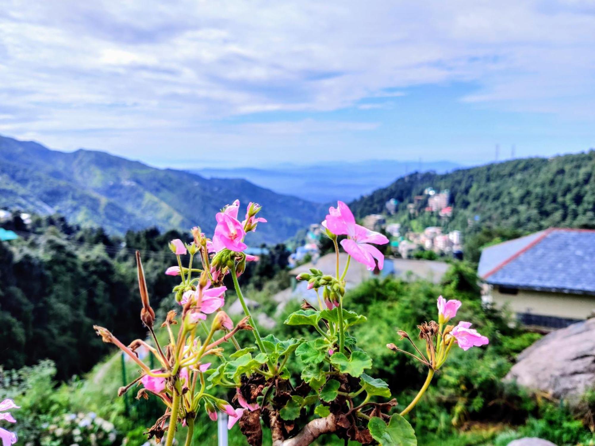 Utopia Hostels Dharamkot Mcleodganj Dharamsala Exteriér fotografie